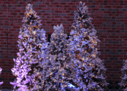 wünscht frohe Weihnachten